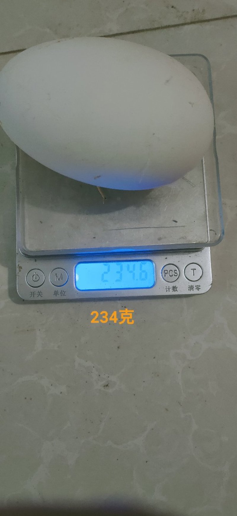 小鹅蛋，双黄蛋，（纯新鲜商品蛋）