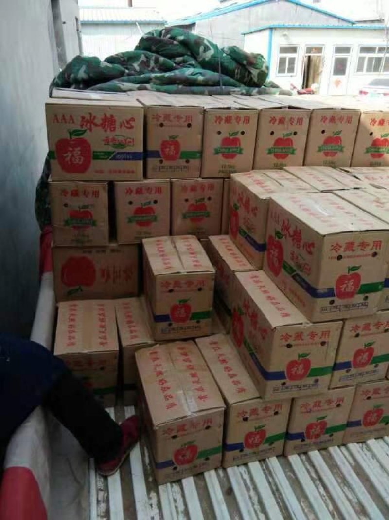 冷库冰糖心红富士苹果开库