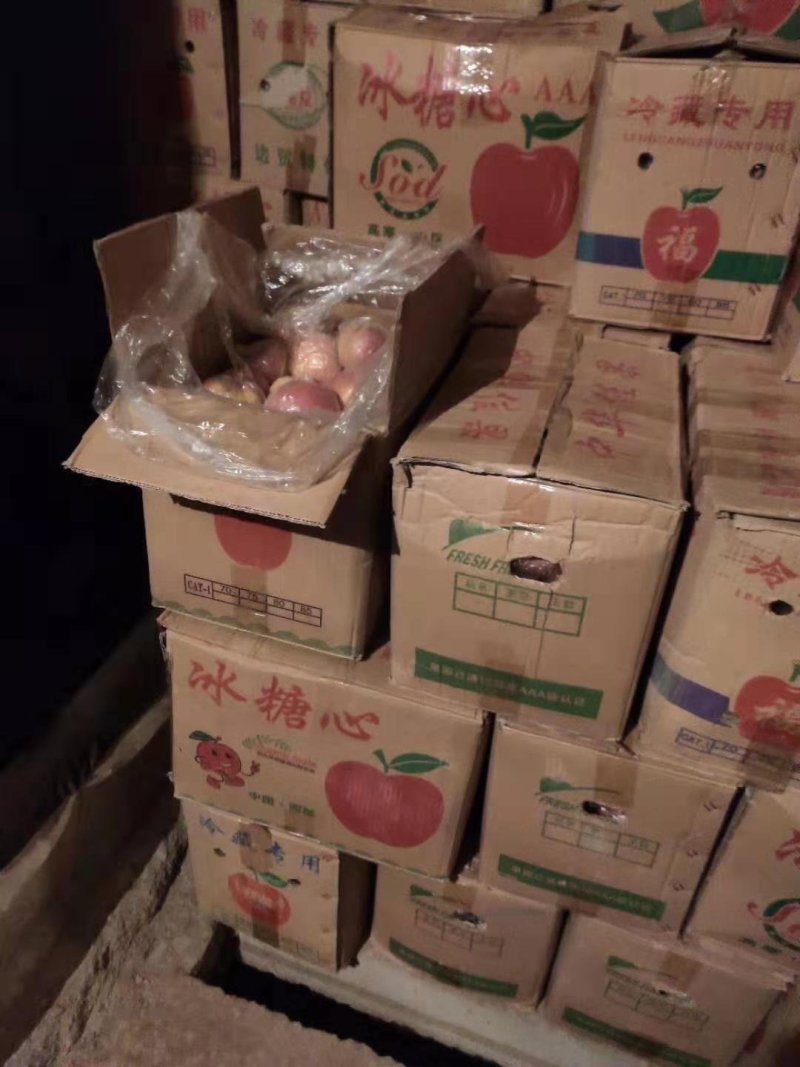 冷库冰糖心红富士苹果开库