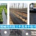 农用全新料防草布园艺地布除草布盖草抑草地膜透气保湿果树果