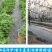 农用全新料防草布园艺地布除草布盖草抑草地膜透气保湿果树果