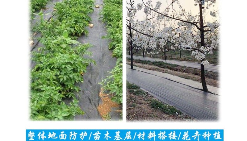 农用全新料防草布园艺地布除草布盖草抑草地膜透气保湿果树果