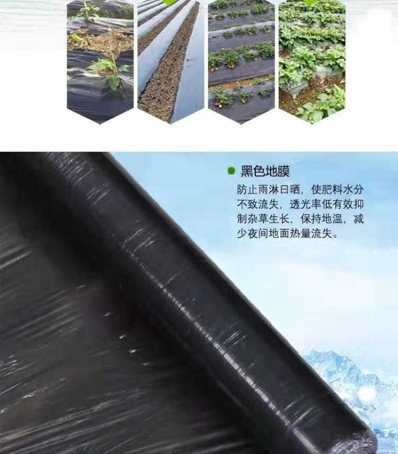 黑地膜除草膜农用加厚黑膜大棚蔬菜果园用保温保湿白膜银黑反