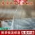 黑地膜除草膜农用加厚黑膜大棚蔬菜果园用保温保湿白膜银黑反