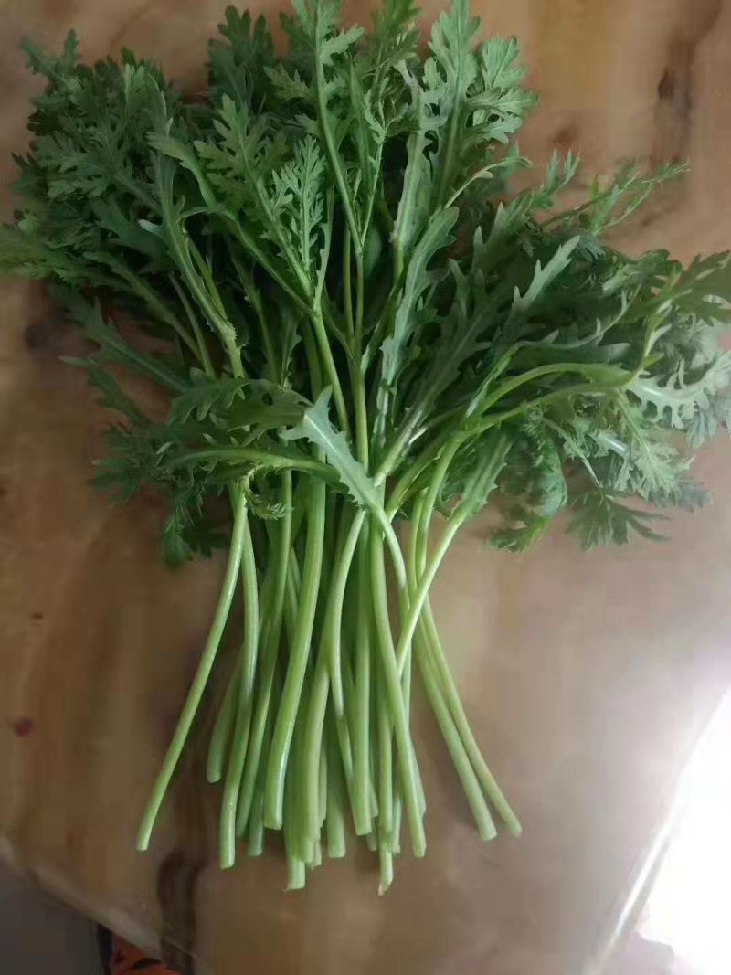 茼蒿菜一手货源，产地直供，先采先装车需要的联系