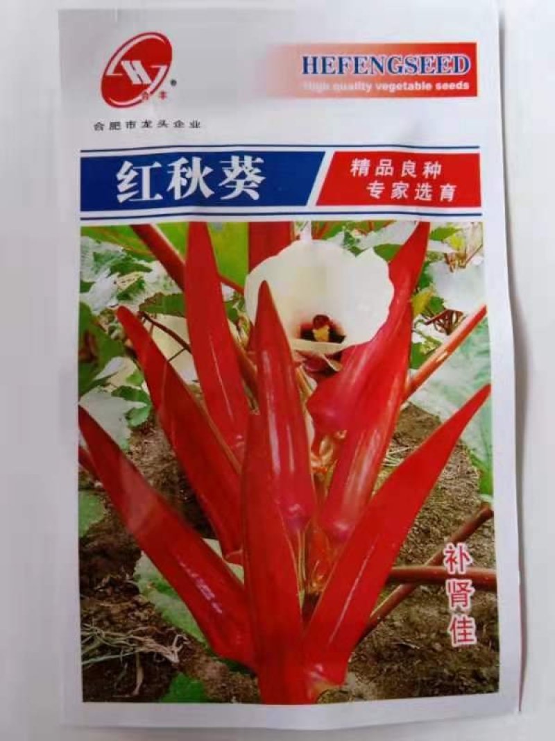 秋葵种子水果秋型，红秋葵种子油绿水果型种子