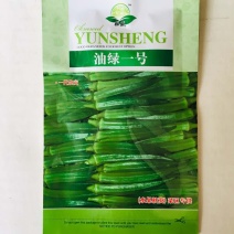 秋葵种子水果秋型，红秋葵种子油绿水果型种子