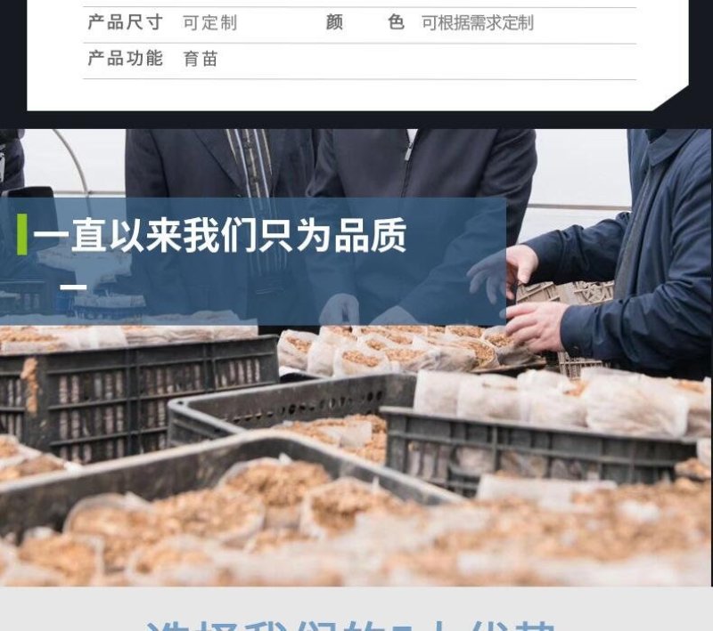 无纺布育苗袋育苗杯基质杯营养杯营养袋免拆袋移栽