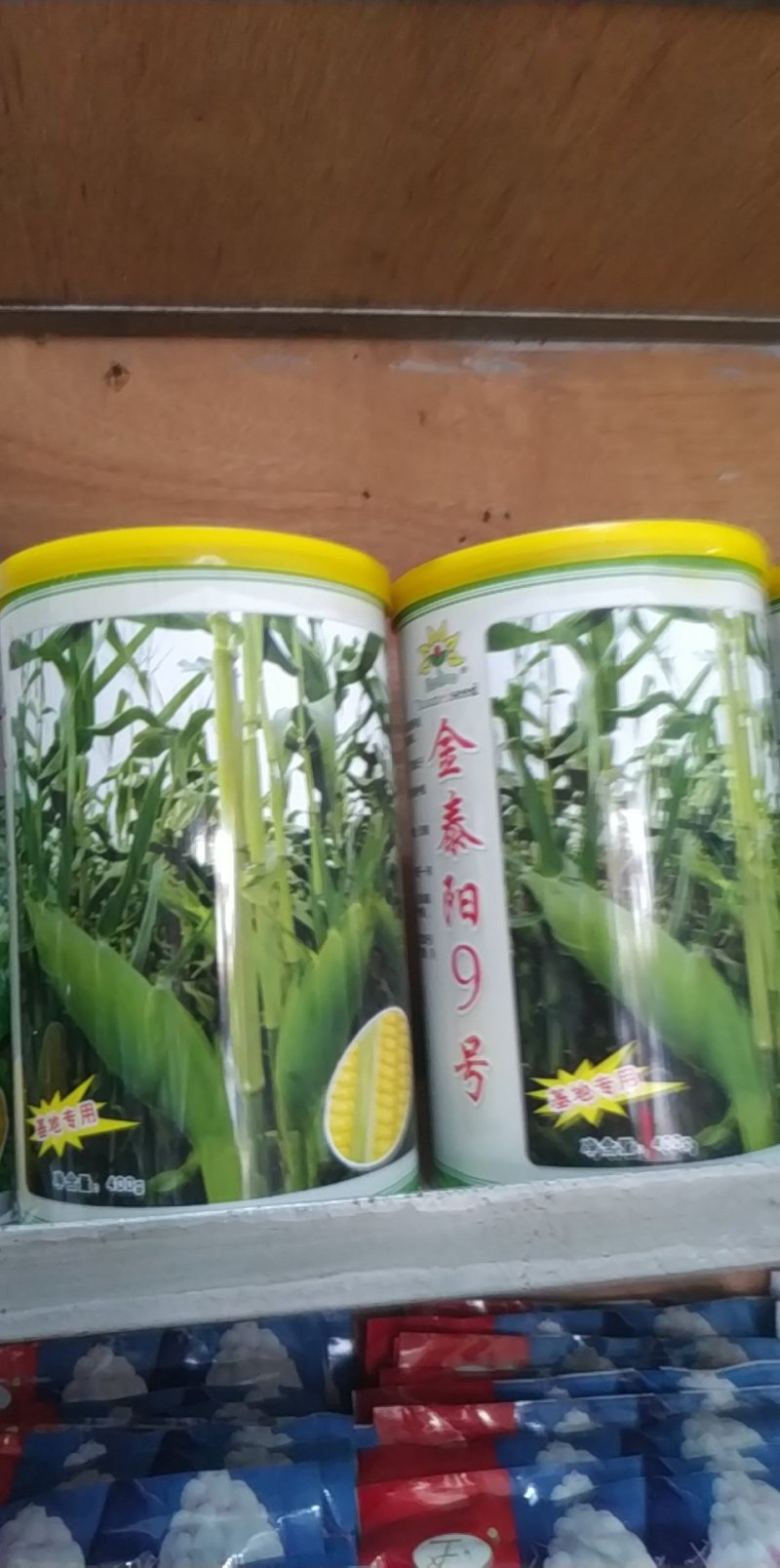 金泰阳9号甜玉米种子