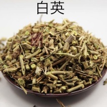 白英常年批发代购量大从优