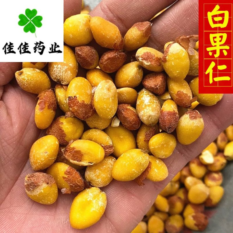 白果仁选货银杏果供应大货