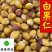 白果仁选货银杏果供应大货
