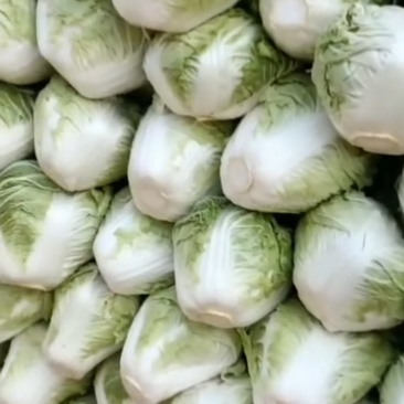 夏阳，，，，，，，，