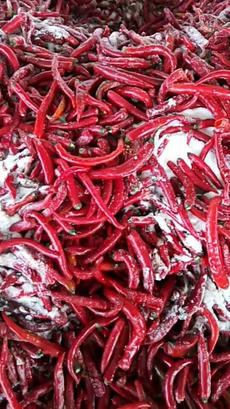 红海椒，二荆条，小米椒，美人椒