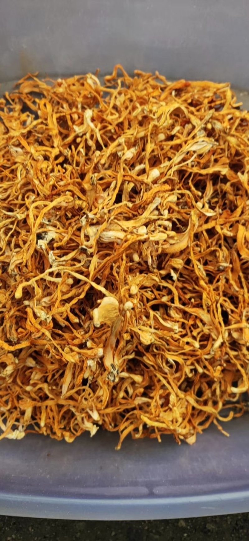 虫草花产地优势货源各品质各价位大货供应散草排草卷草