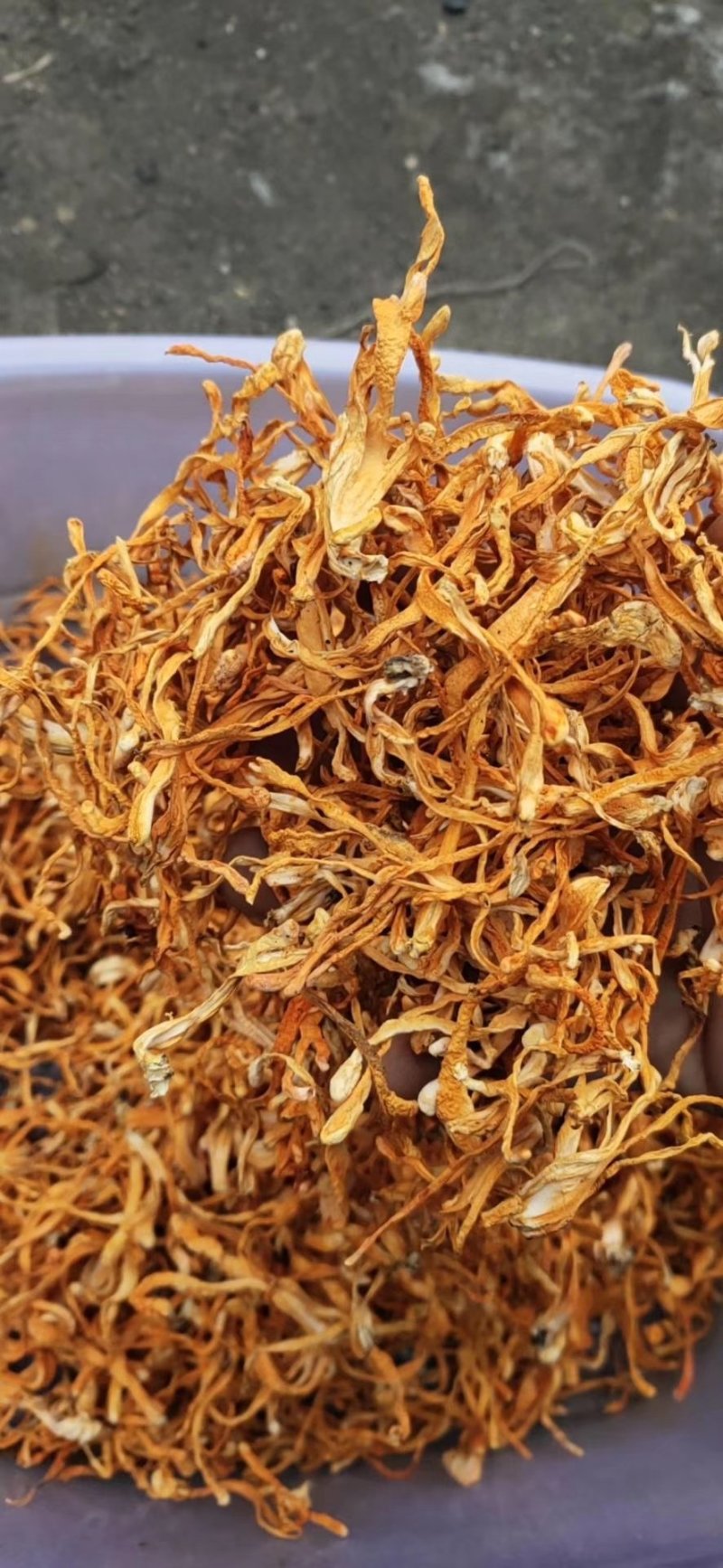虫草花产地优势货源各品质各价位大货供应散草排草卷草