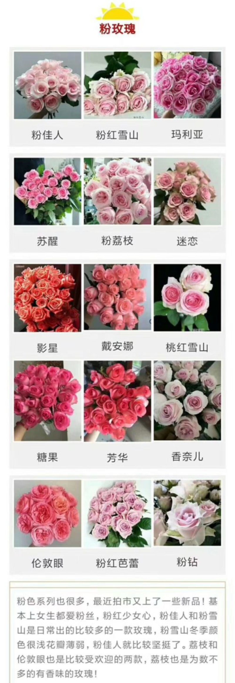 彩玫瑰