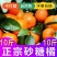 新鲜桔子，现摘现发！保鲜发货，精选特级！包邮到家！