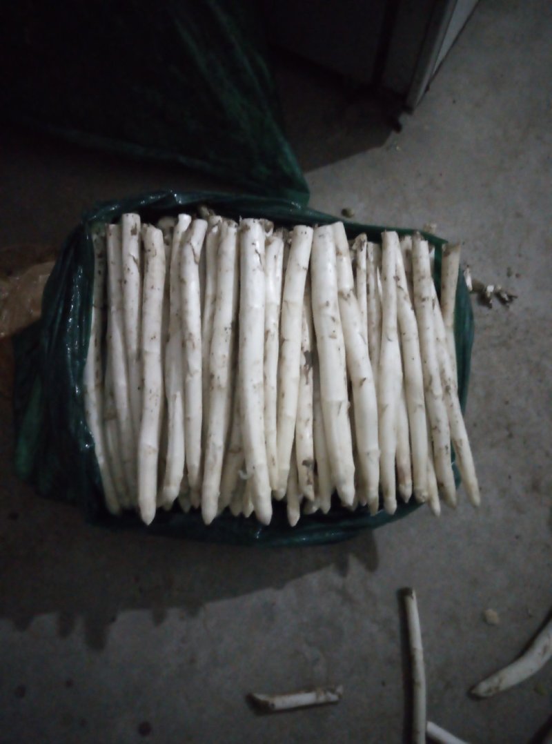 白芦笋营养丰富蔬菜当天采当天发货笋质鲜嫩