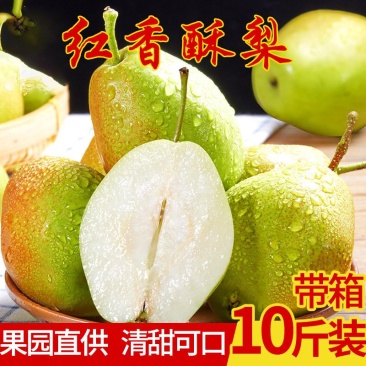 山西红香酥梨新鲜香梨现摘现发酥梨包邮丰富酥脆应季水果