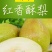 山西红香酥梨新鲜香梨现摘现发酥梨包邮丰富酥脆应季水果