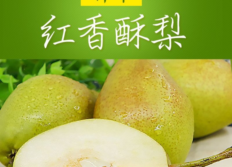 山西红香酥梨新鲜香梨现摘现发酥梨包邮丰富酥脆应季水果