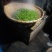 青山绿水茶