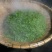 青山绿水茶