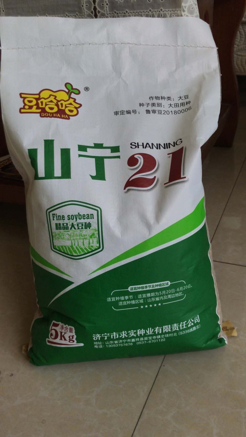 黄豆种子精选豆种山宁21