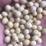 黄豆种子高产大豆种皖豆33厂家直销