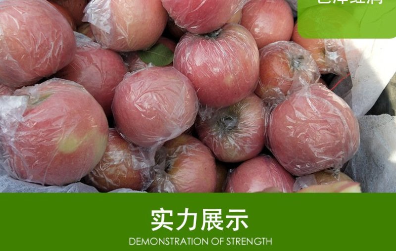 山西红富士苹果10斤装包邮新鲜现摘脆甜可口冰糖心包邮