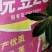 大豆种子皖豆28