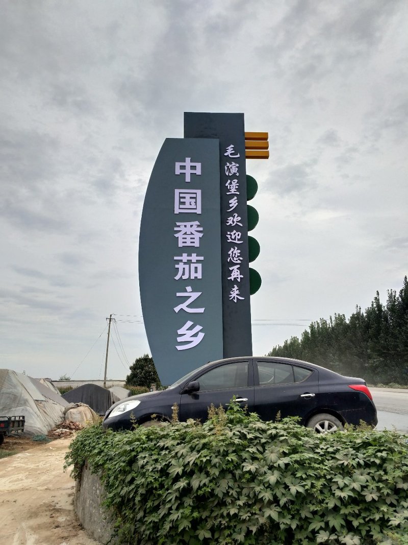 万亩硬粉西红柿产地直销代发全国
