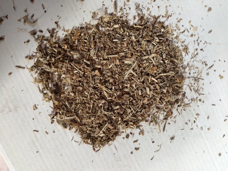 苦参沫子不含邮费批发零售