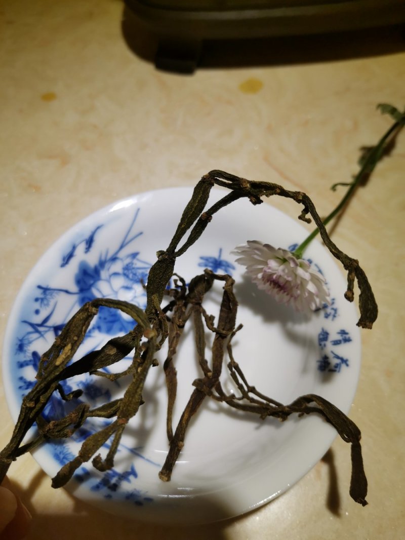 寄生草.螃蟹脚.茶寄生.古树茶寄生，香味浓郁