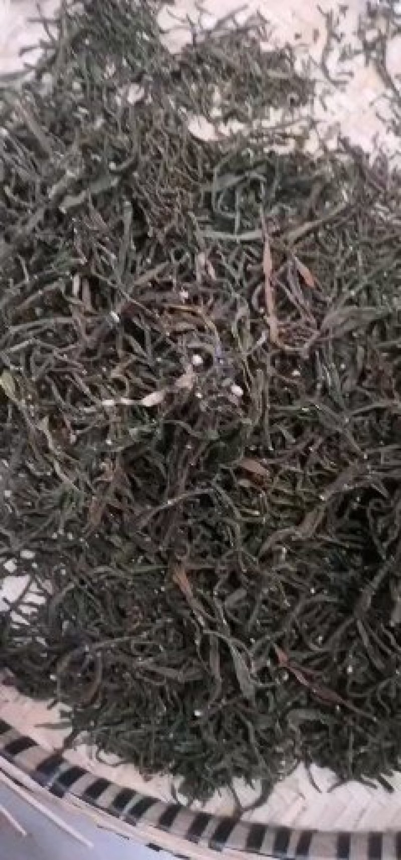 寄生草.螃蟹脚.茶寄生.古树茶寄生，香味浓郁