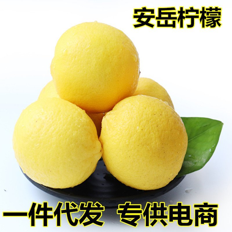 现摘四川安岳黄柠檬当季新鲜水果5斤非香水柠檬果园现货包邮