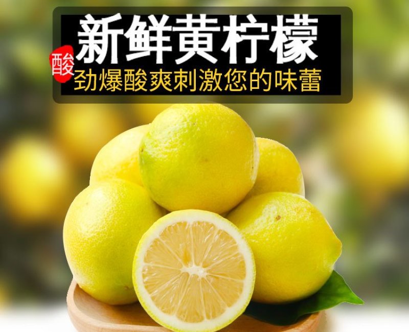 现摘四川安岳黄柠檬当季新鲜水果5斤非香水柠檬果园现货包邮