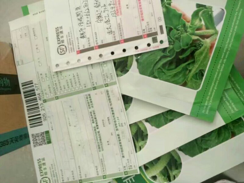 一箱十斤冰草