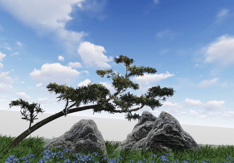 罗汉松造型，顶流大师出品，年产量低，树型飘逸优美