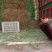 【牛商优选】红根蒜苗每年十月以后大量上市
