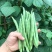 蔬菜