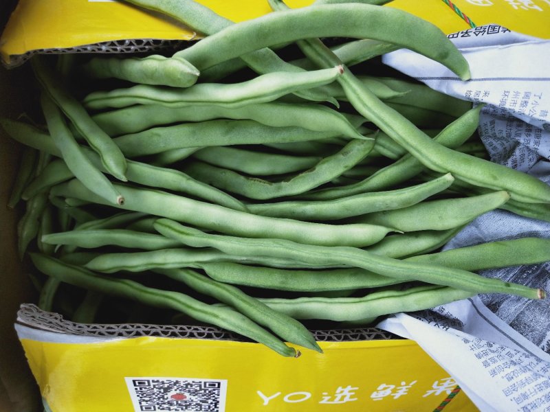 蔬菜