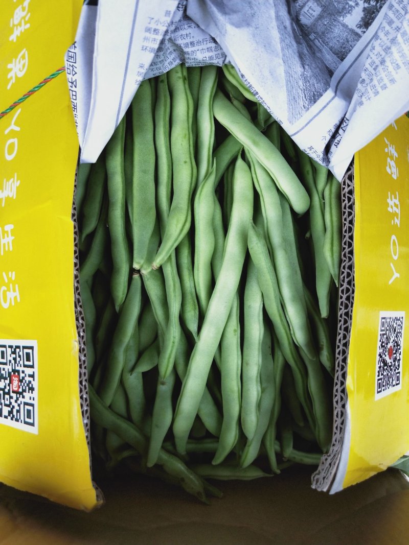 蔬菜