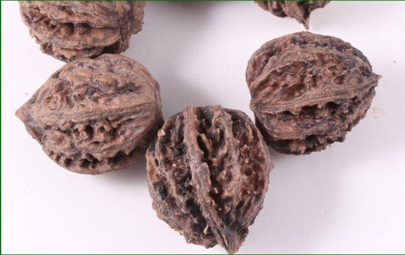 山核桃种子薄皮纸皮核桃种子胡桃羌桃种子种植文玩核