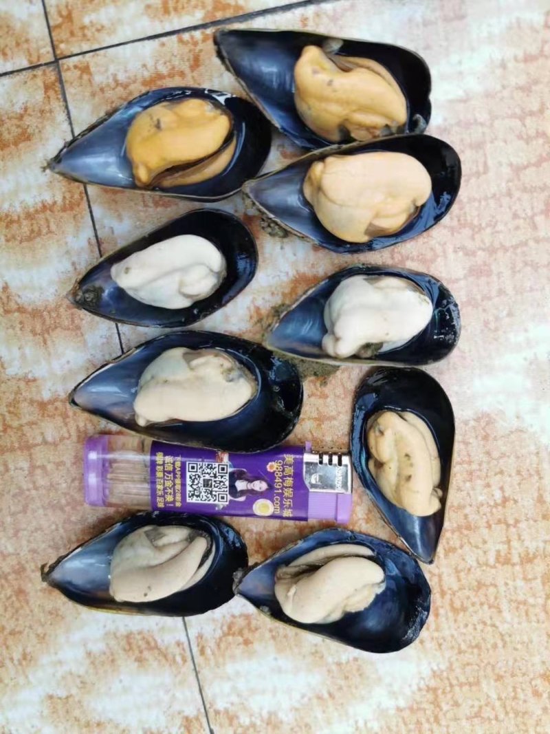 海红