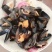 海红