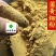 蒲黄正品蒲黄粉精粉细粉另有蒲黄炭供应各种中药材