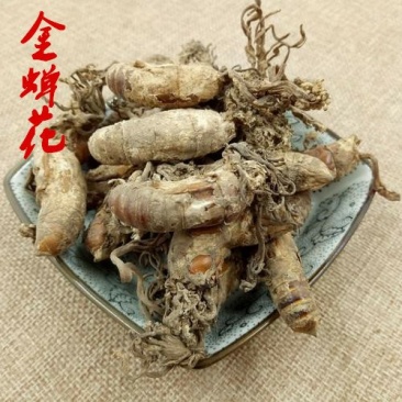 金蝉花蝉花好统货干货皖南货供应各种中药材