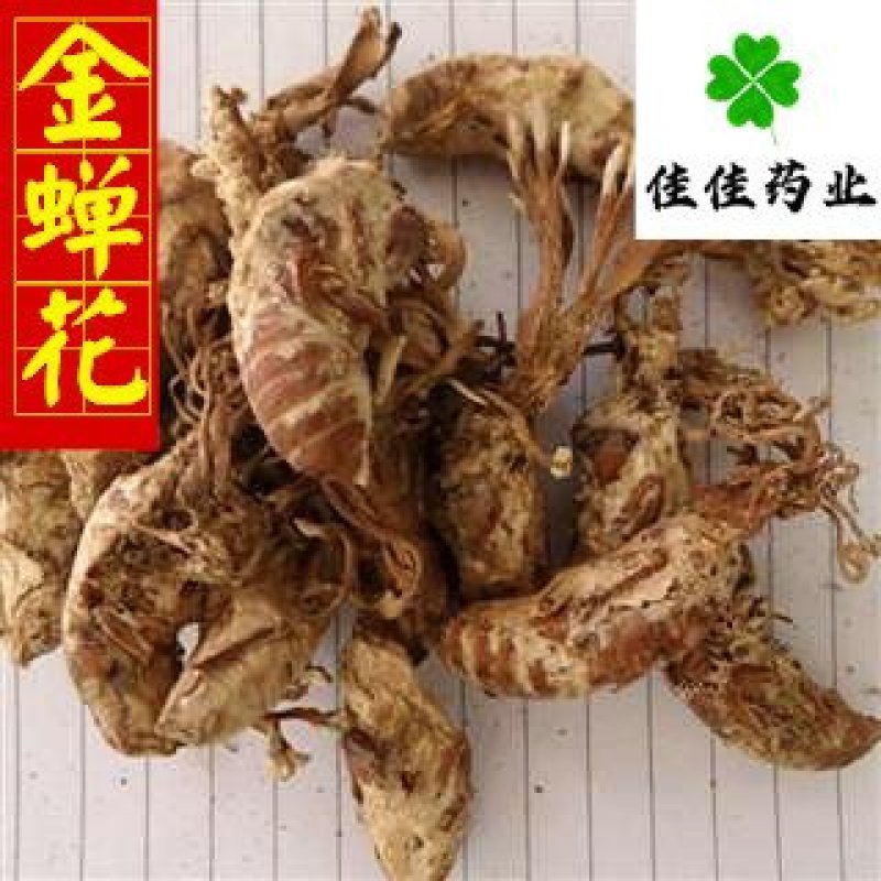 金蝉花蝉花好统货干货皖南货供应各种中药材